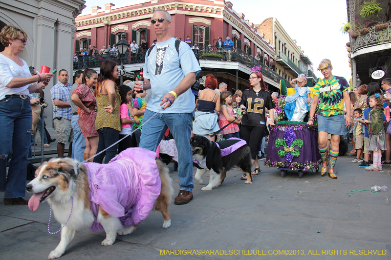 Mystic-Krewe-of-Barkus-2013-1256