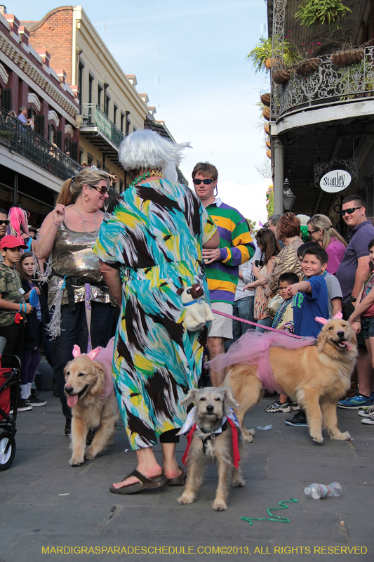 Mystic-Krewe-of-Barkus-2013-1261