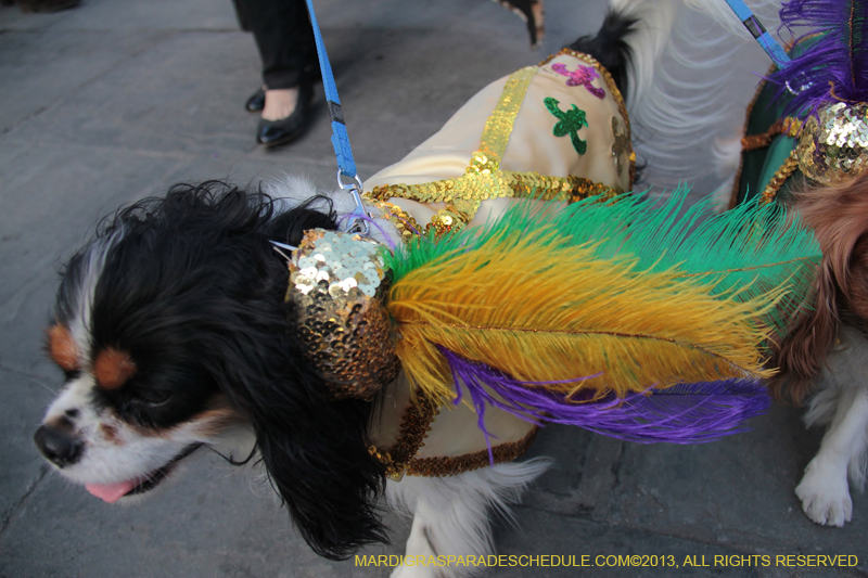 Mystic-Krewe-of-Barkus-2013-1266