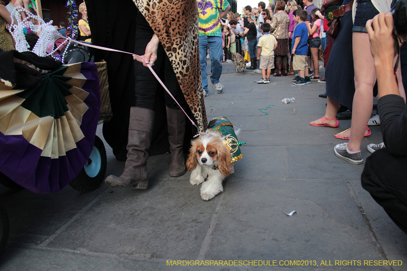 Mystic-Krewe-of-Barkus-2013-1268