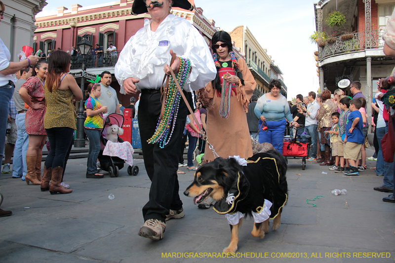 Mystic-Krewe-of-Barkus-2013-1276