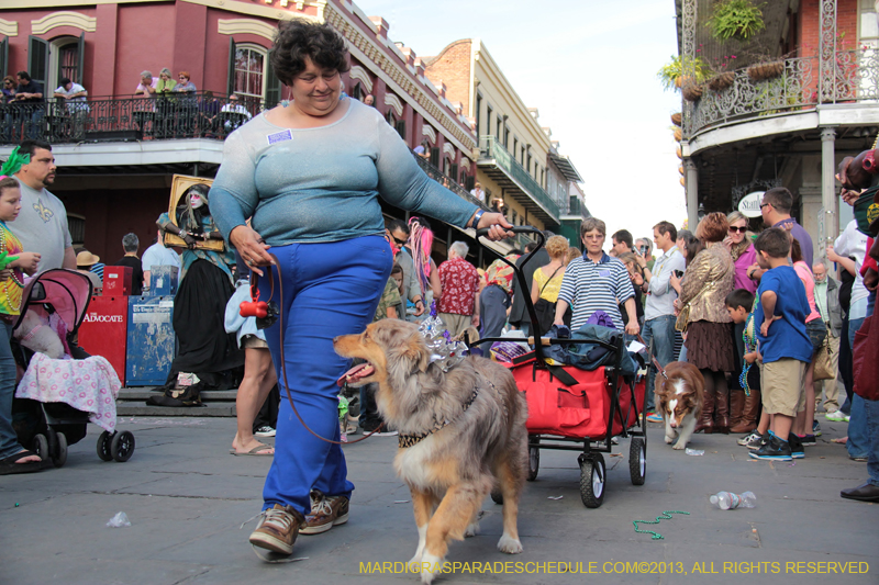 Mystic-Krewe-of-Barkus-2013-1277