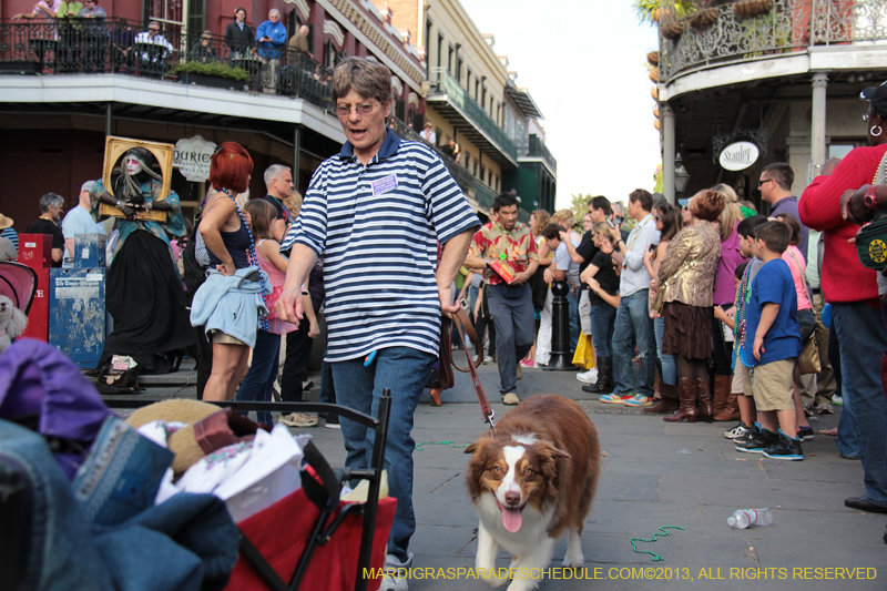 Mystic-Krewe-of-Barkus-2013-1278