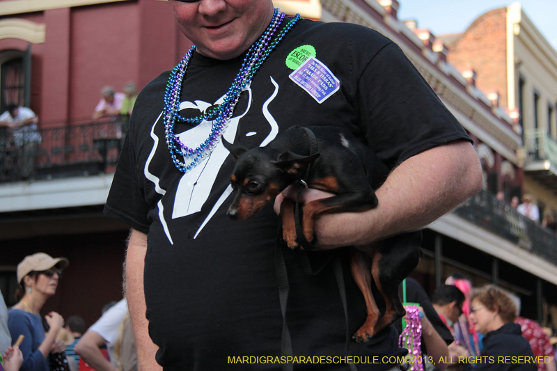 Mystic-Krewe-of-Barkus-2013-1284