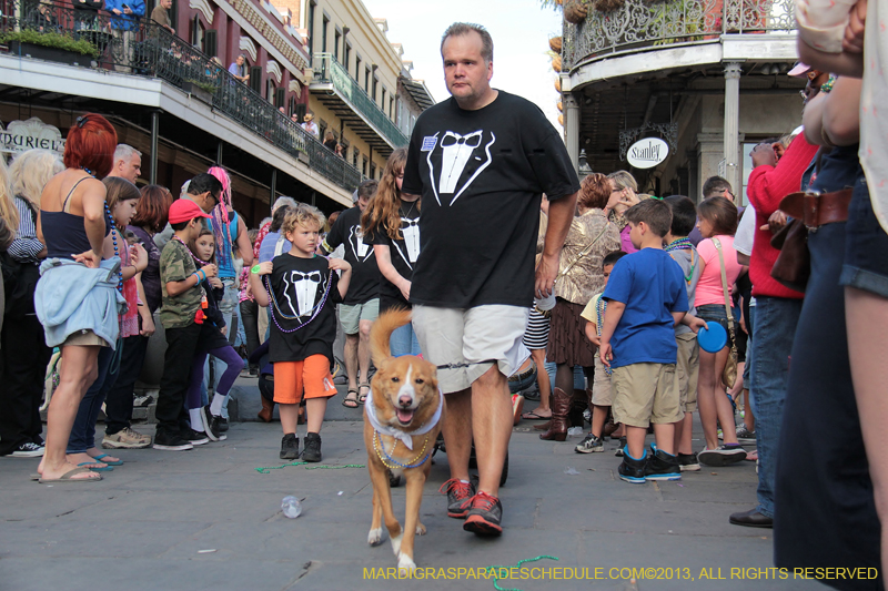 Mystic-Krewe-of-Barkus-2013-1287