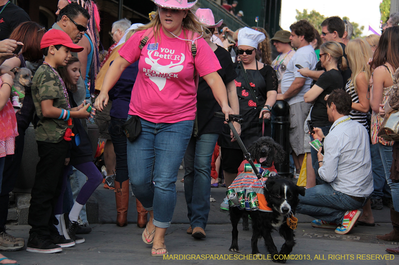 Mystic-Krewe-of-Barkus-2013-1290