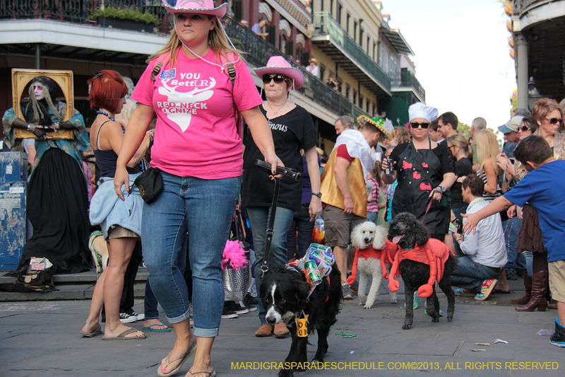 Mystic-Krewe-of-Barkus-2013-1291