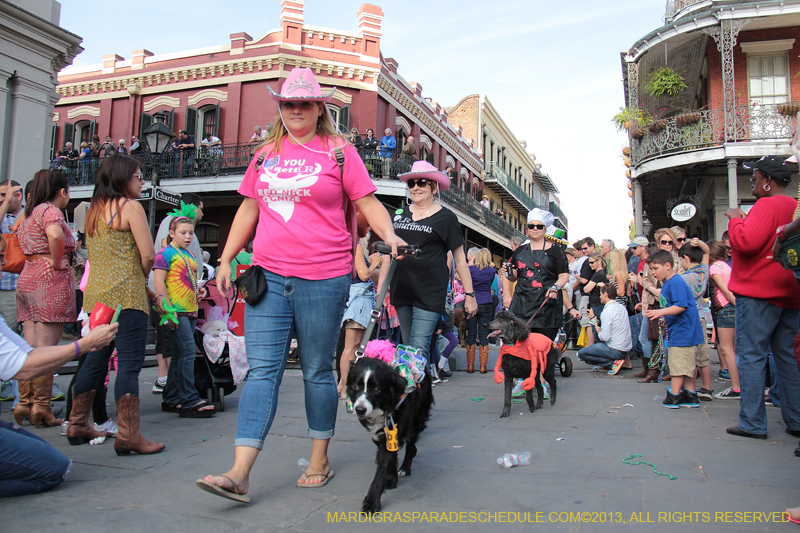 Mystic-Krewe-of-Barkus-2013-1292