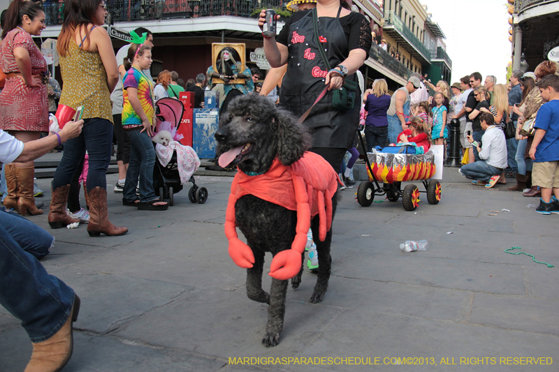 Mystic-Krewe-of-Barkus-2013-1293