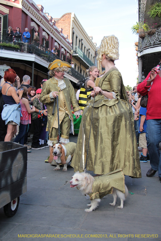 Mystic-Krewe-of-Barkus-2013-1297