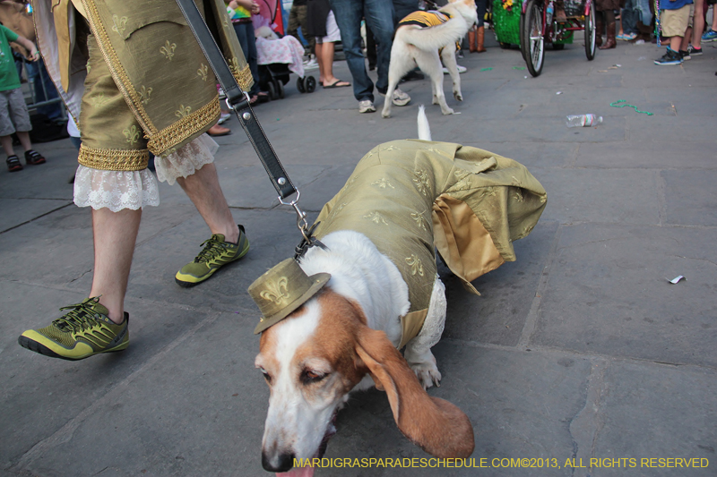 Mystic-Krewe-of-Barkus-2013-1299