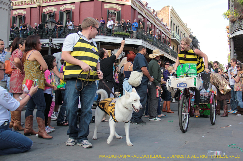 Mystic-Krewe-of-Barkus-2013-1300