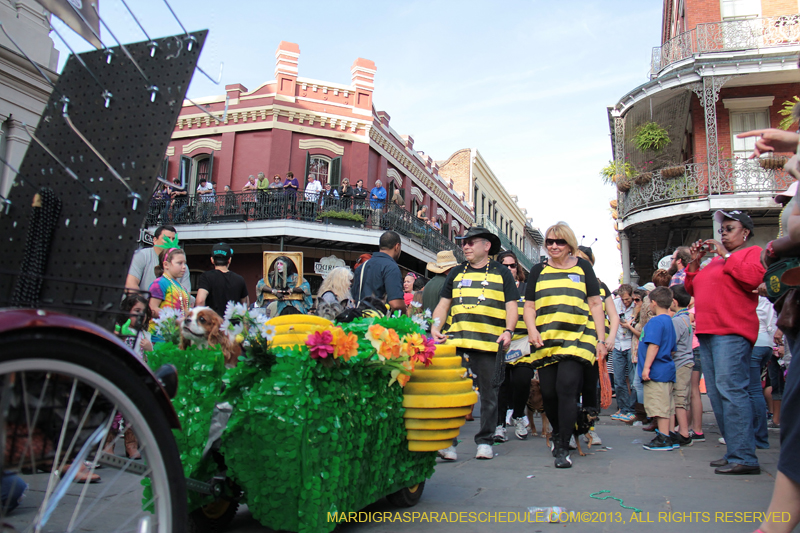 Mystic-Krewe-of-Barkus-2013-1302