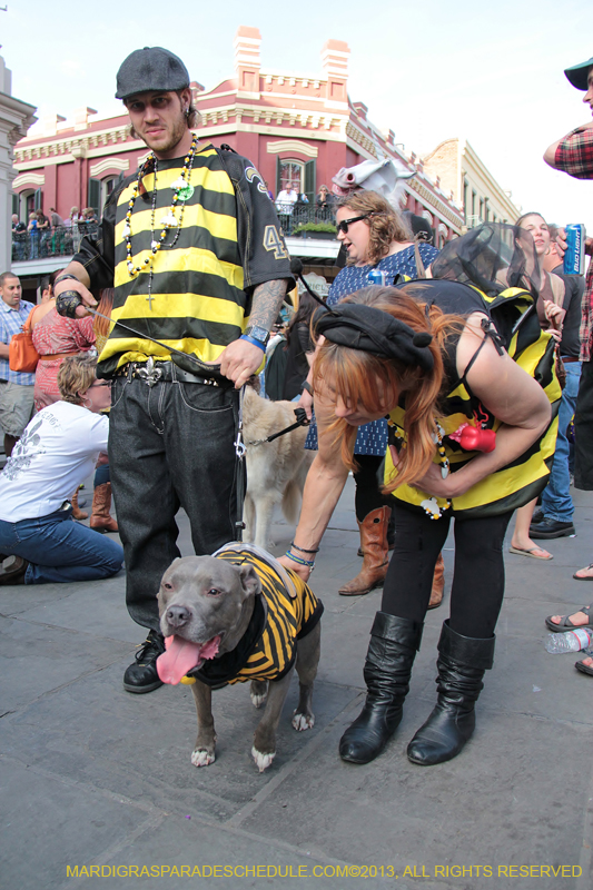 Mystic-Krewe-of-Barkus-2013-1309