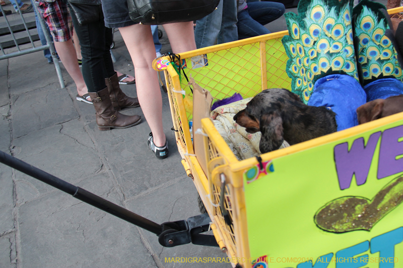 Mystic-Krewe-of-Barkus-2013-1316