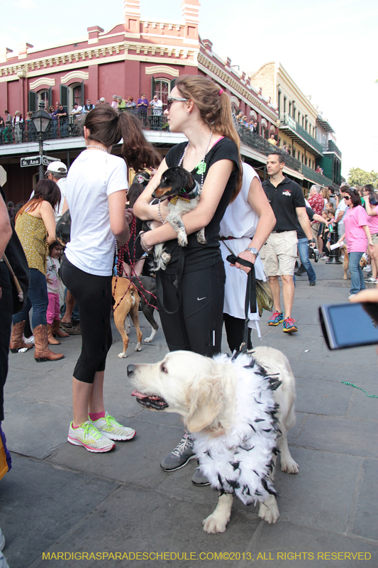 Mystic-Krewe-of-Barkus-2013-1319