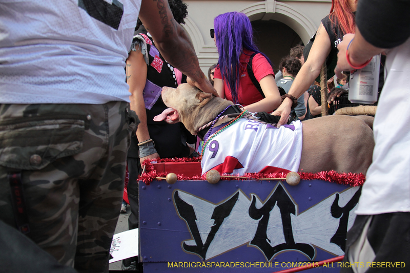 Mystic-Krewe-of-Barkus-2013-1325