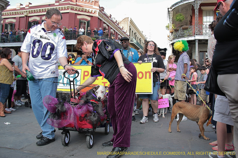 Mystic-Krewe-of-Barkus-2013-1327