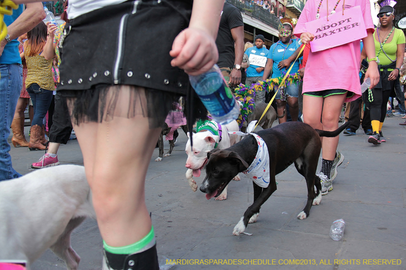 Mystic-Krewe-of-Barkus-2013-1332