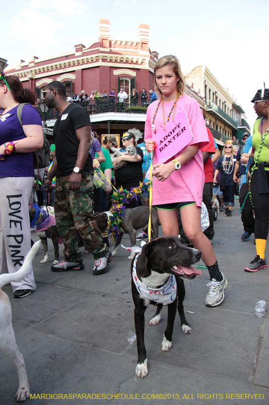 Mystic-Krewe-of-Barkus-2013-1334