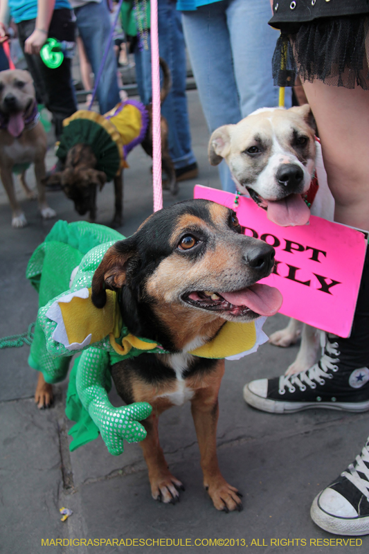 Mystic-Krewe-of-Barkus-2013-1336