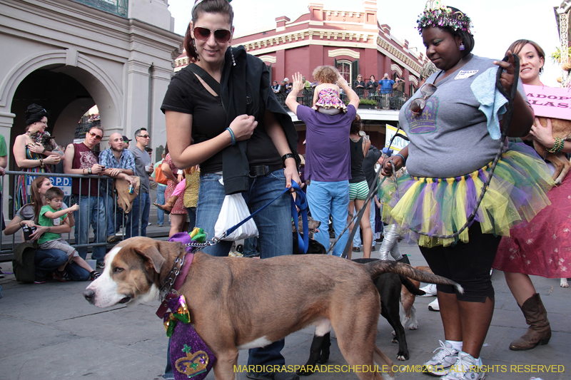 Mystic-Krewe-of-Barkus-2013-1343