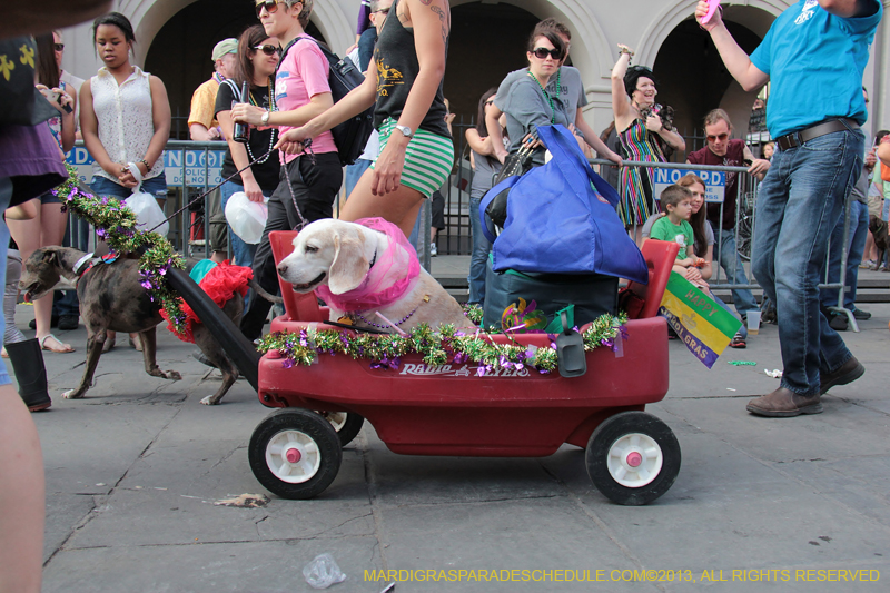 Mystic-Krewe-of-Barkus-2013-1347