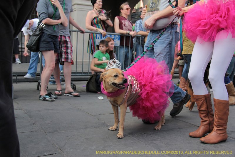 Mystic-Krewe-of-Barkus-2013-1354