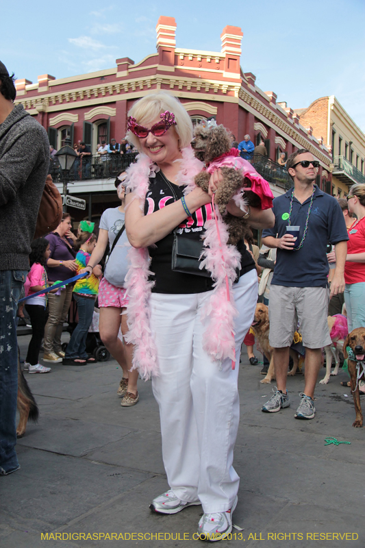 Mystic-Krewe-of-Barkus-2013-1356