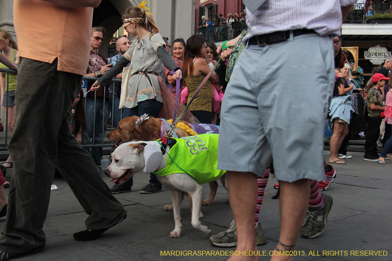 Mystic-Krewe-of-Barkus-2013-1359