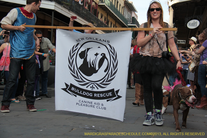 Mystic-Krewe-of-Barkus-2013-1361