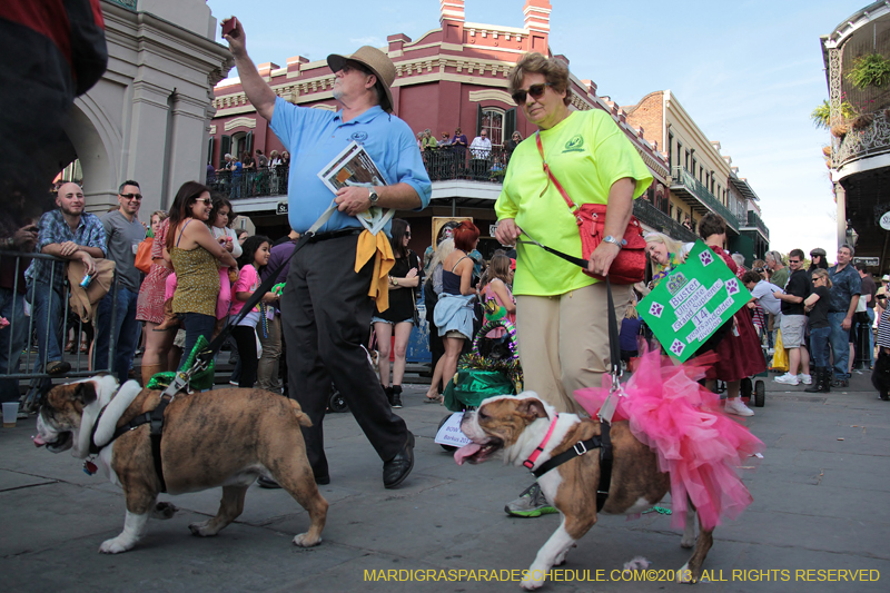 Mystic-Krewe-of-Barkus-2013-1362