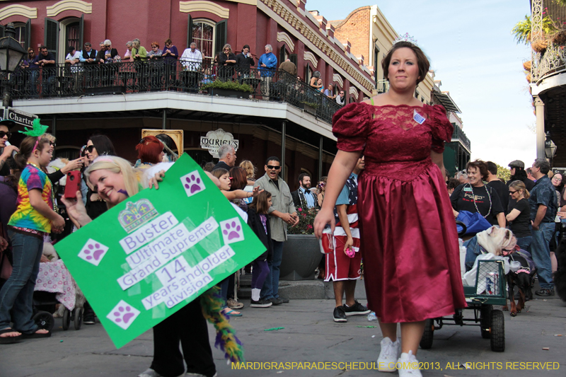 Mystic-Krewe-of-Barkus-2013-1363