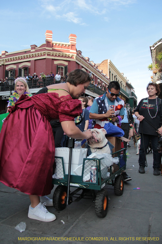 Mystic-Krewe-of-Barkus-2013-1365