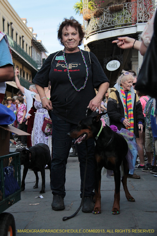 Mystic-Krewe-of-Barkus-2013-1366