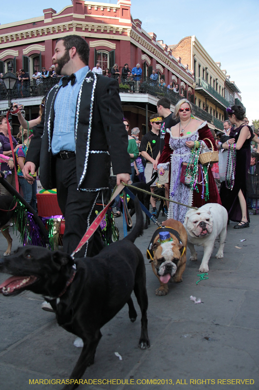 Mystic-Krewe-of-Barkus-2013-1367