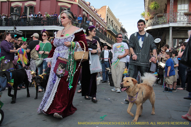 Mystic-Krewe-of-Barkus-2013-1368