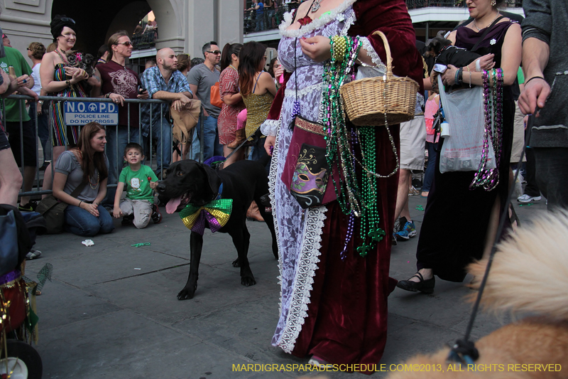 Mystic-Krewe-of-Barkus-2013-1369