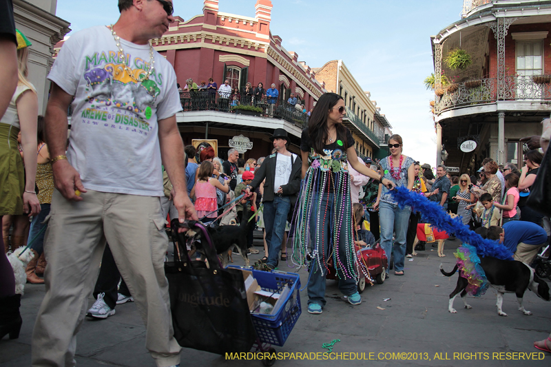 Mystic-Krewe-of-Barkus-2013-1370