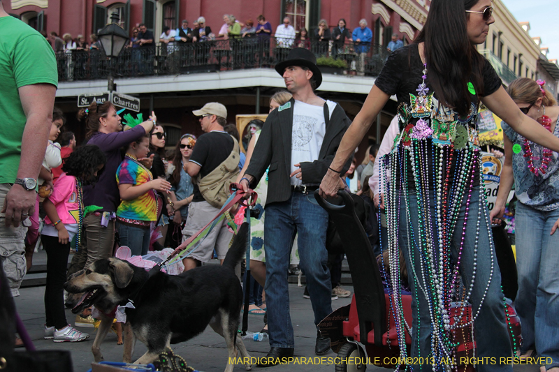 Mystic-Krewe-of-Barkus-2013-1371