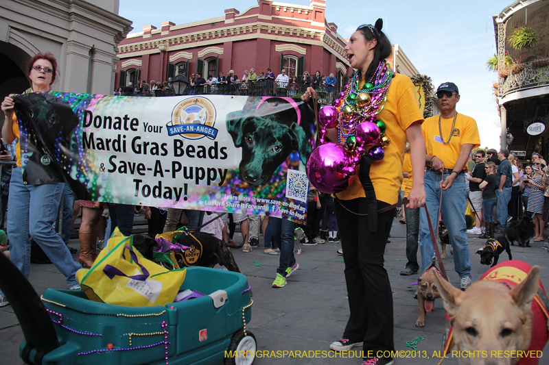 Mystic-Krewe-of-Barkus-2013-1374