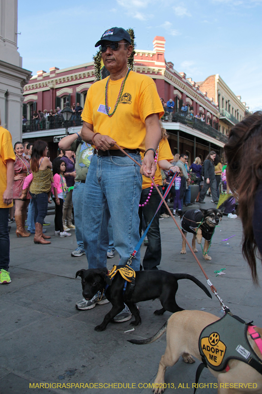 Mystic-Krewe-of-Barkus-2013-1376