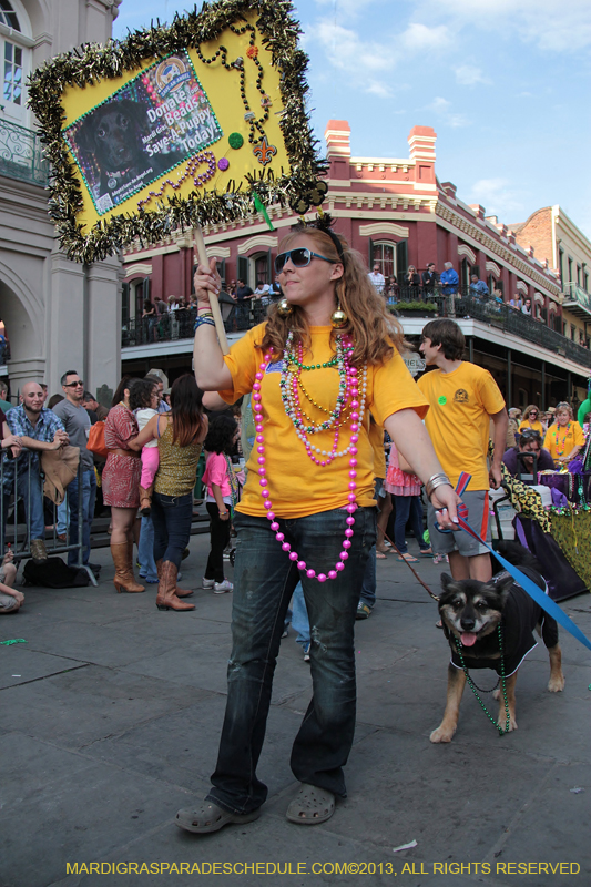 Mystic-Krewe-of-Barkus-2013-1377