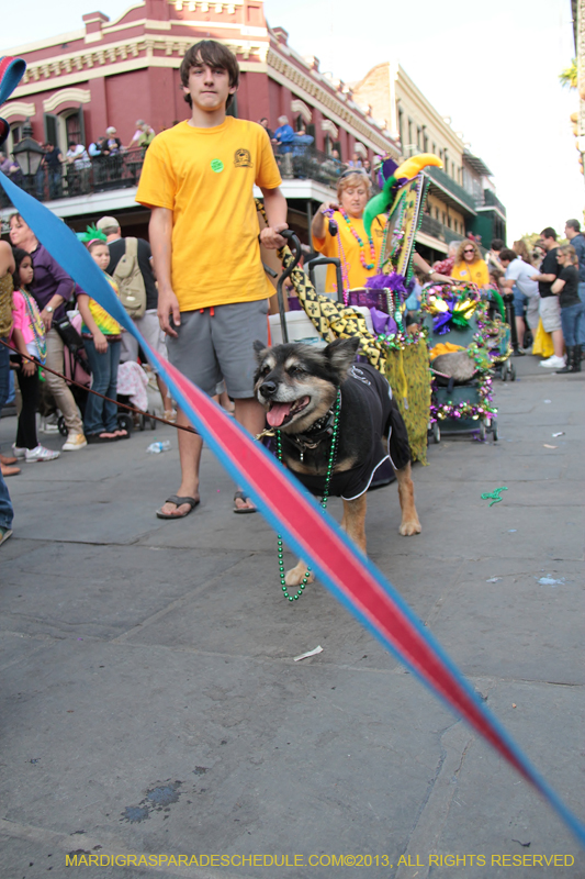 Mystic-Krewe-of-Barkus-2013-1378