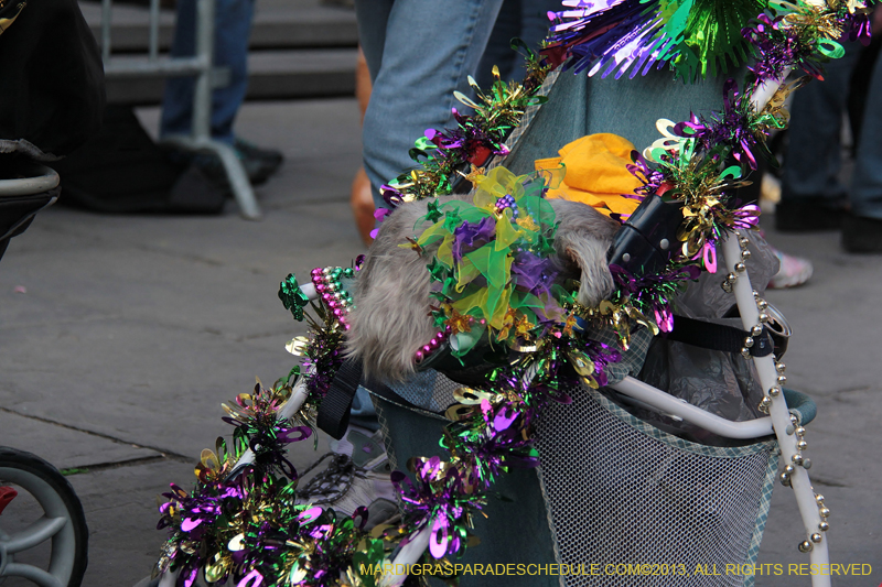 Mystic-Krewe-of-Barkus-2013-1379