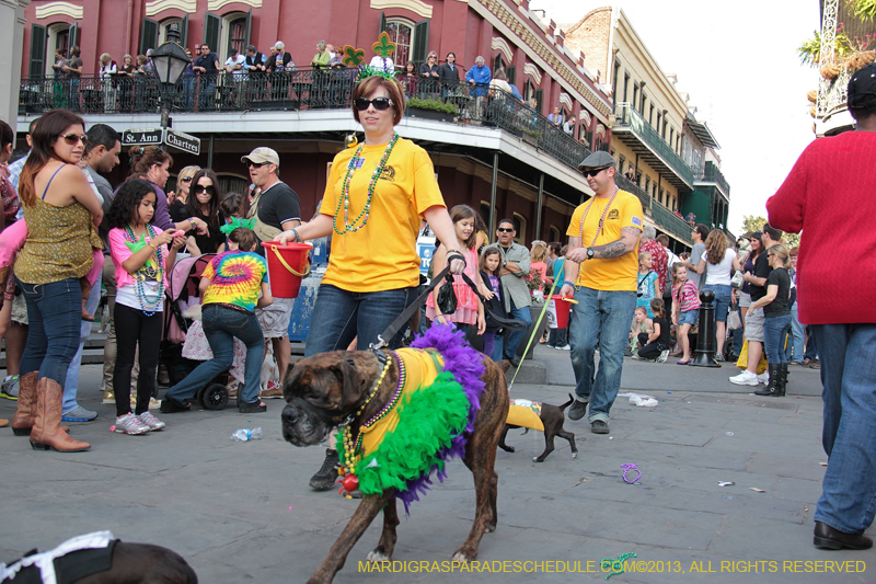 Mystic-Krewe-of-Barkus-2013-1381