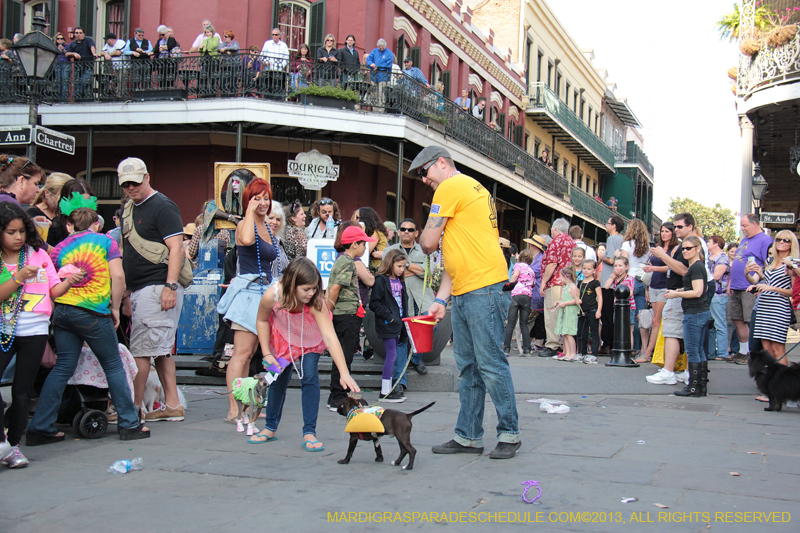 Mystic-Krewe-of-Barkus-2013-1382