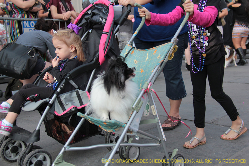 Mystic-Krewe-of-Barkus-2013-1384