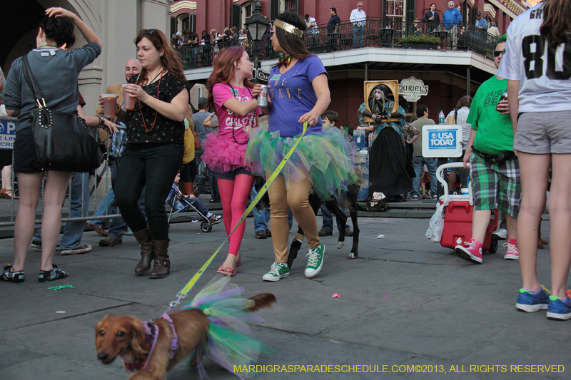 Mystic-Krewe-of-Barkus-2013-1391