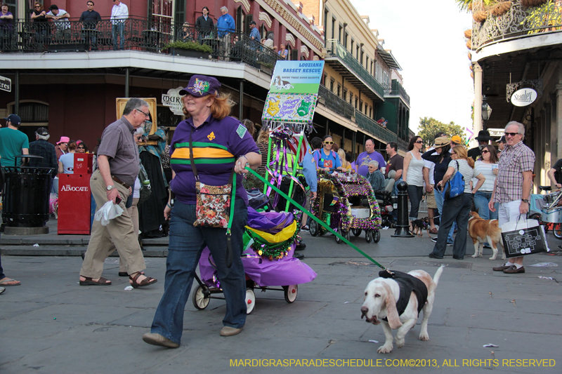 Mystic-Krewe-of-Barkus-2013-1395